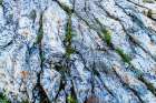 Rock art in Glacier National Park, Montana, USA. Art Print